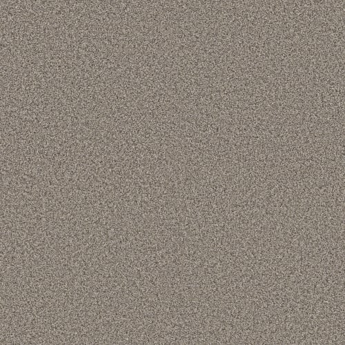 RENEWED ENERGY I in Prairie Run Carpet