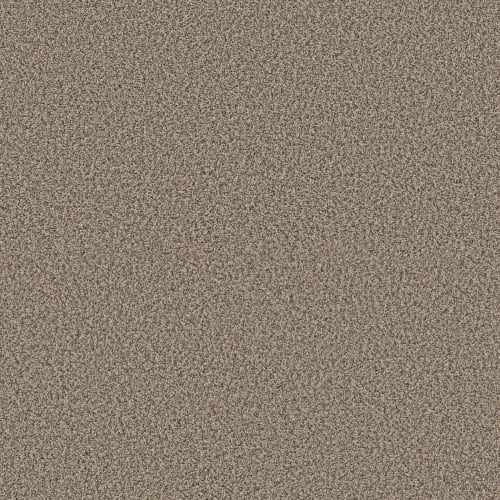 RENEWED ENERGY II in Khaki Carpet