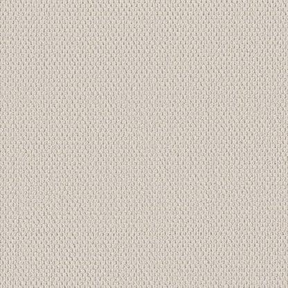 PERSPECTIVE PATH in Swan White Carpet