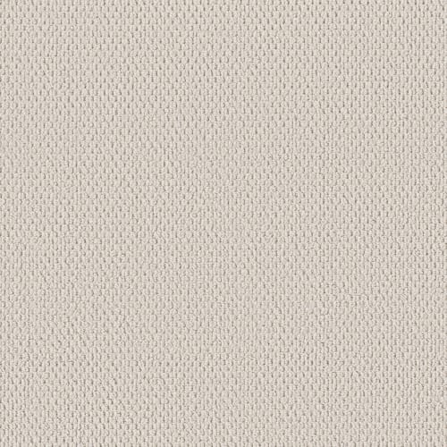 PERSPECTIVE PATH in Swan White Carpet