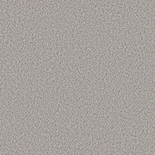 FEELIN' ALRIGHT in Snow Peak Carpet