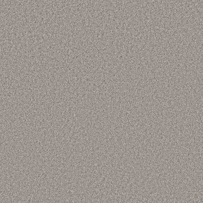 NEW ATTITUDE in Wind Chill Carpet