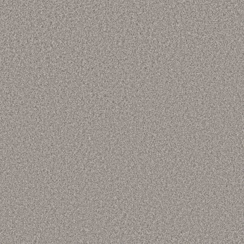 NEW ATTITUDE in Wind Chill Carpet