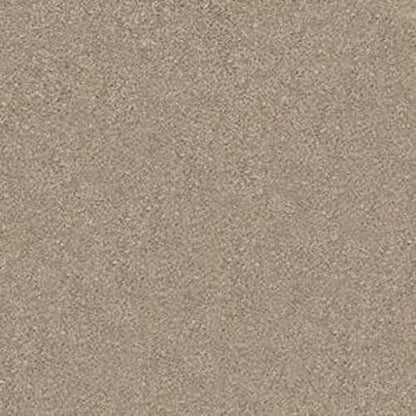YOUR COMFORT II in Dockside View Carpet