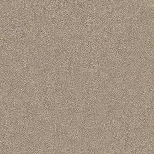 YOUR COMFORT II in Dockside View Carpet