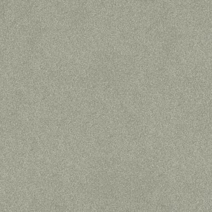 COMFORTING II in Sage Brush Carpet