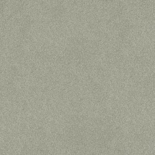 COMFORTING II in Sage Brush Carpet