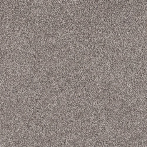 SOFT EFFERVESCENCE in Oxford Carpet