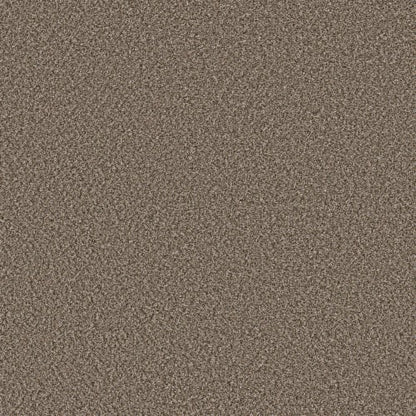 SOFT RADIANCE in Mocha Latte' Carpet