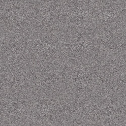 Inlet Shore 1 12'