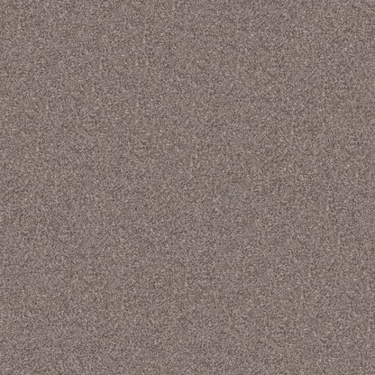 INLET SHORE II 15' in Smooth Satin Carpet