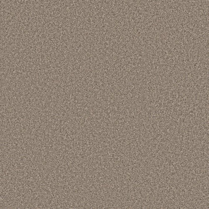 AFFIRMATION I