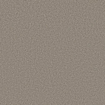AFFIRMATION II in Bistro Carpet