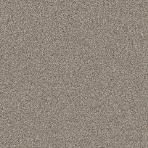 AFFIRMATION II in Bistro Carpet