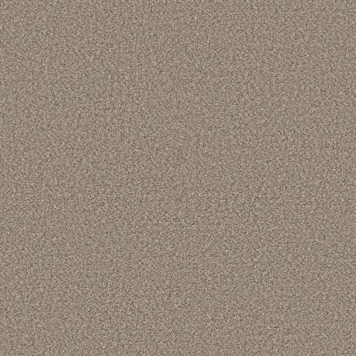HIGH RANKING B in Dockside Carpet