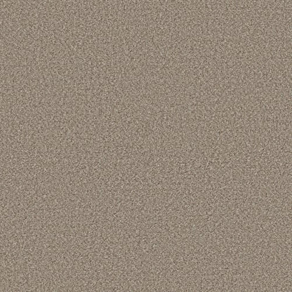 HIGH RANKING B in Dockside Carpet
