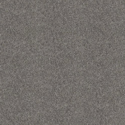 GRAND OUTLOOK in Aircraft Carpet