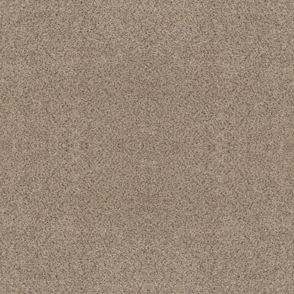 ABILENE II in Sand Castle Carpet
