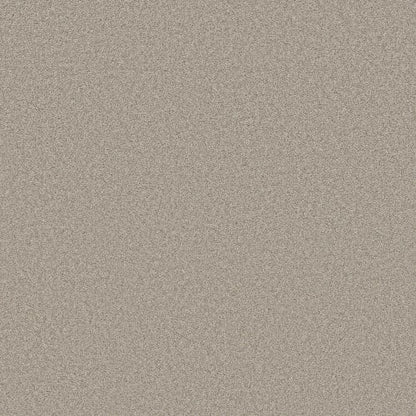DEL RIO II in Baltic Stone Carpet