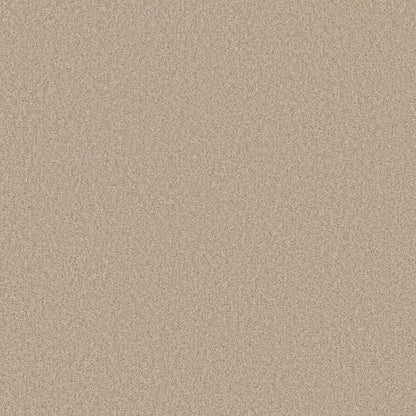 DEL RIO II in Cream Carpet