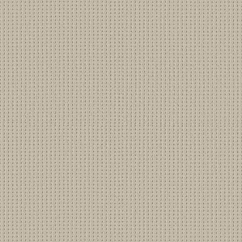 SAN ANTONIO in Aged White Carpet