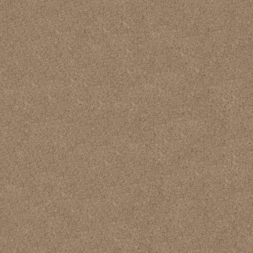CANYON LAKE in Basic Tan Carpet