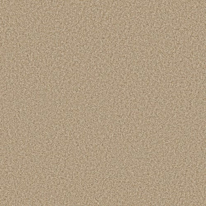 PRESCOTT VALLEY in Beach Grass Carpet