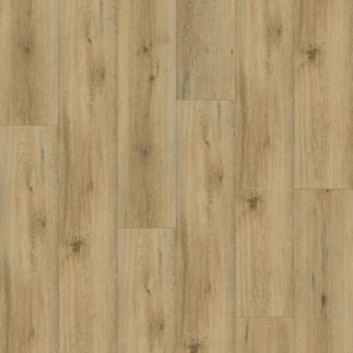 Bliss 5.0 in Andrusia Luxury Vinyl