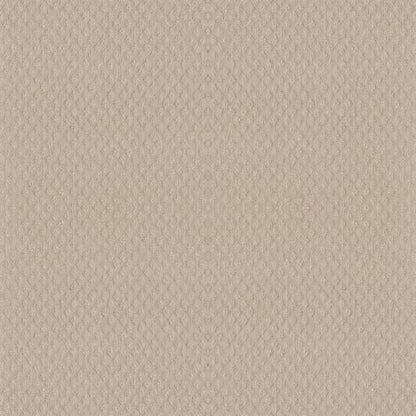 Townelake in Sand Pebble Carpet