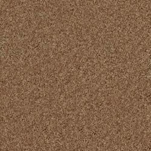 Winters Home in Shiitake Carpet