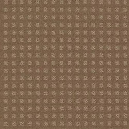 New Home Place in Townhouse Taupe Carpet