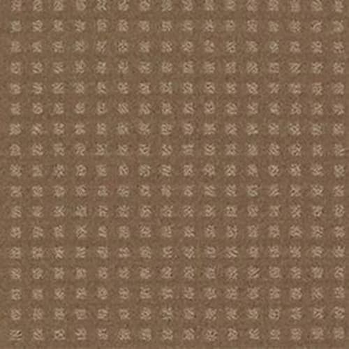 New Home Place in Townhouse Taupe Carpet