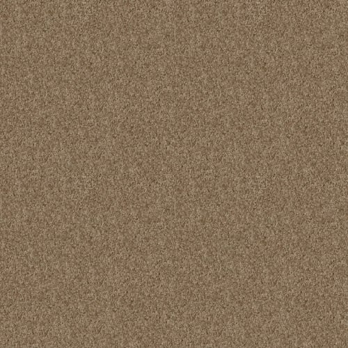 Edgemore in Sierra Hills Carpet