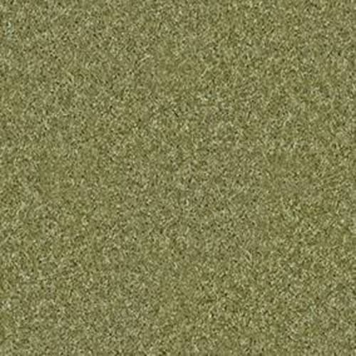 Kentland 12' in Spring Valley Carpet