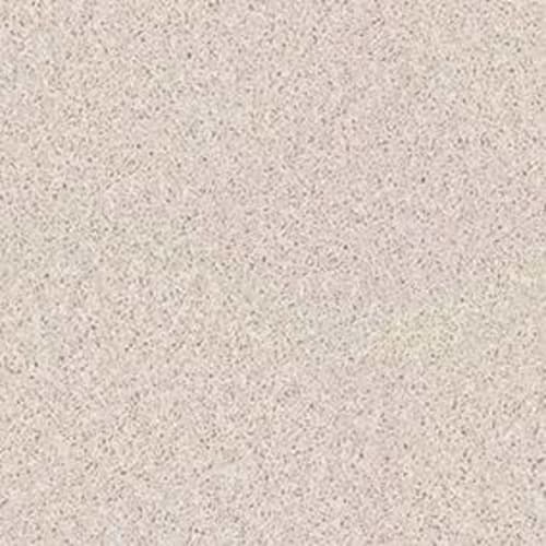 Royal Portrush I 12' in Butter Cream Carpet