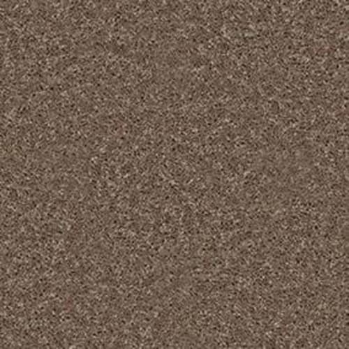 Royal Portrush III 12' in Granola Carpet