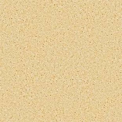 Kid Crazy in Lemon Drop Carpet