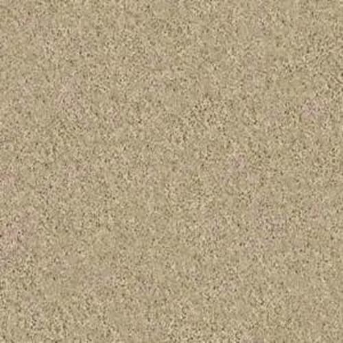 Luxury Bay II in Mesa Carpet