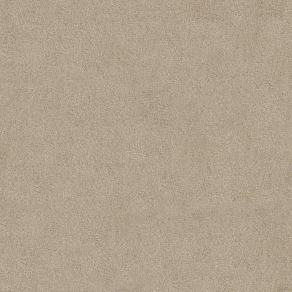 Best Basics in Frost Carpet