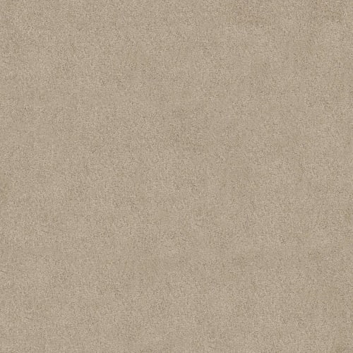 Best Basics in Frost Carpet