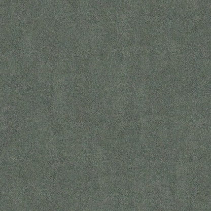 Best Basics