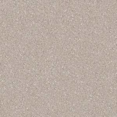 Beautifully Simple I 12 in Almond Bark Carpet