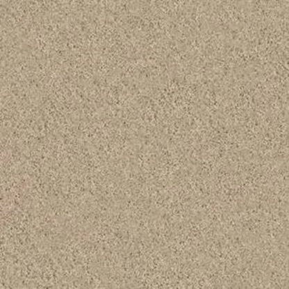 Beautifully Simple I 15' in Almond Bark Carpet