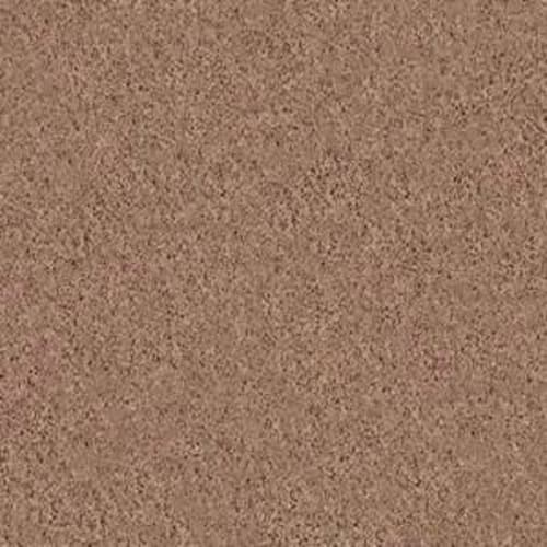 Beautifully Simple II 15' in Pebble Creek Carpet