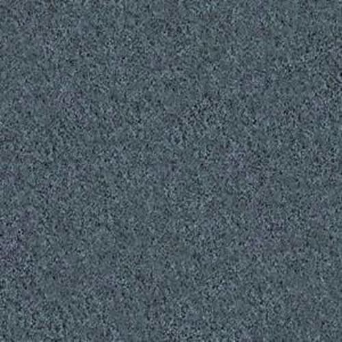 My Destination I in Old Blue Eyes Carpet