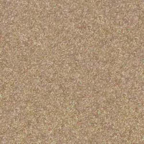 Free Time in Reed Carpet