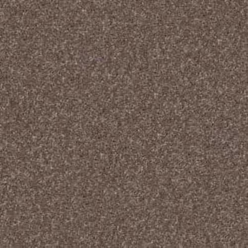 Opportunity Knocks in Rustic Taupe Carpet