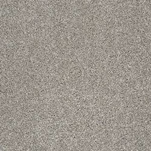 Moment Of Truth in Cocoa Carpet