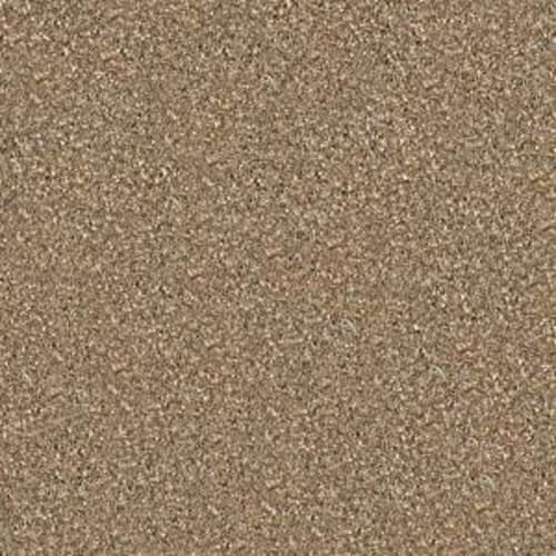 Fantastical in Bridgewater Tan Carpet