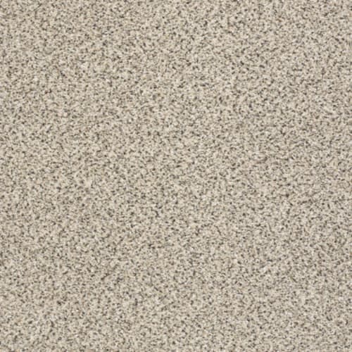 TAKE THE FLOOR ACCENT I